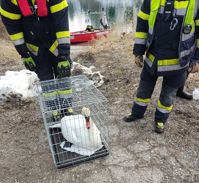 Einsatzreicher Faschingssamstag für die Hauptfeuerwache Villach  (Bild 1)